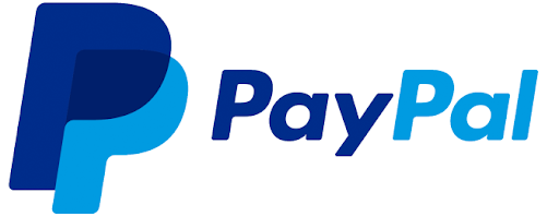 pay with paypal - Caught Stealing Store